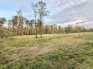 18826 Creole Ln, Livingston, LA 70754