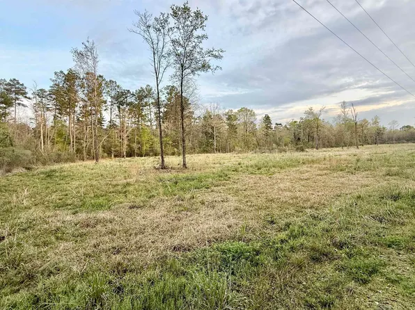 18826 Creole Ln, Livingston, LA 70754