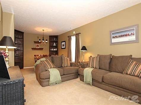 Warm & inviting living room with newer carpet, freshly painted & plantation blinds.