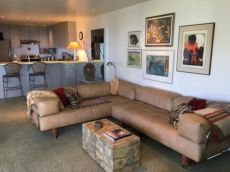 Living room and kitchen