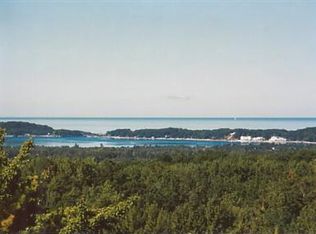 99 N Slope Dr, Onekama, MI 49675