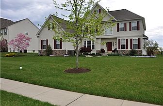 Professionally Landscaped