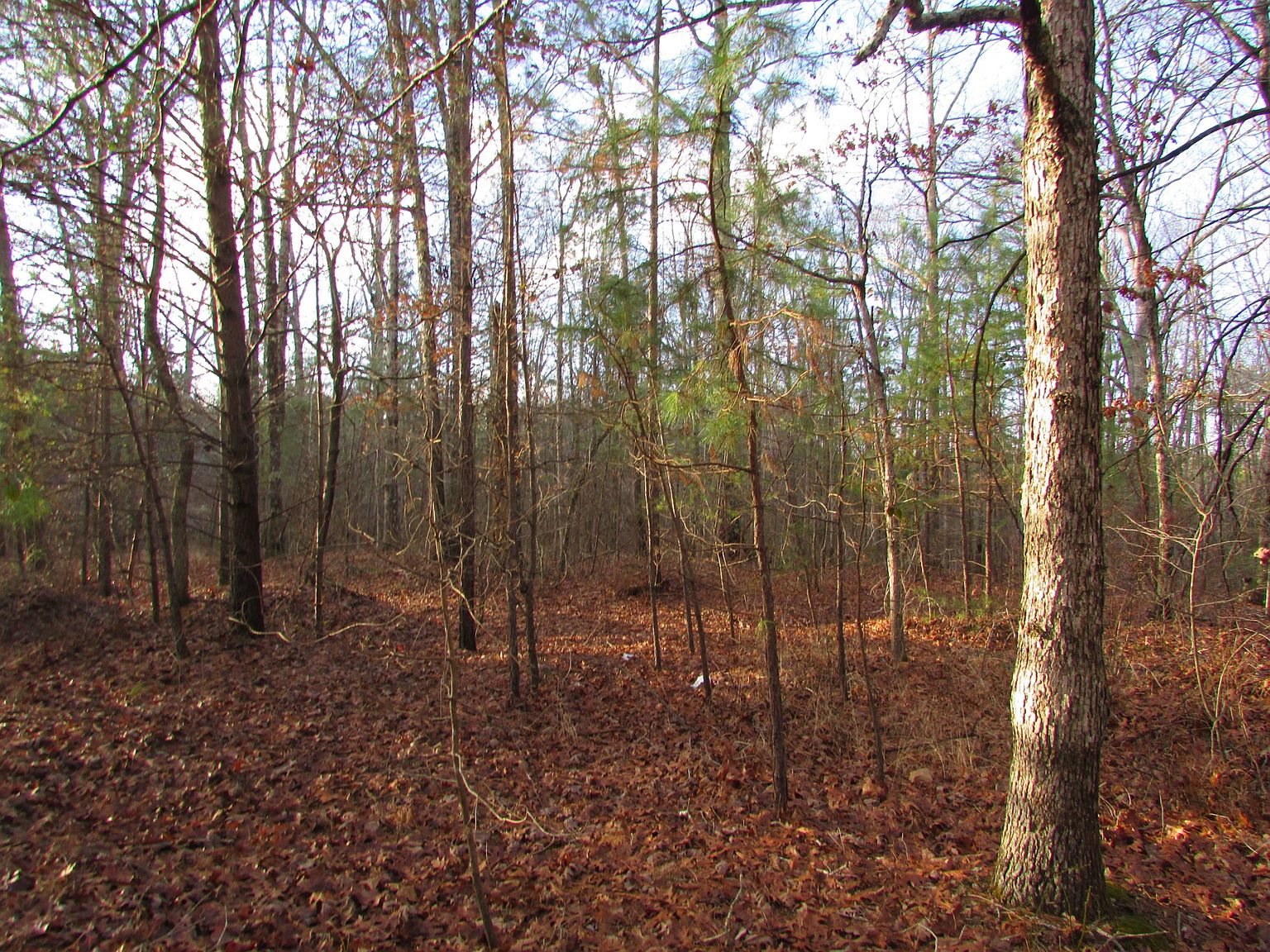 0 Dogtown Rd, Gruetli Laager, TN 37339 Zillow