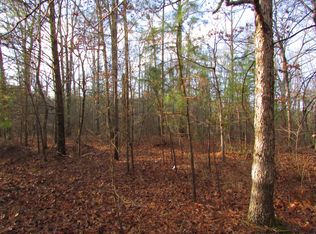 0 Dogtown Rd, Gruetli Laager, TN 37339