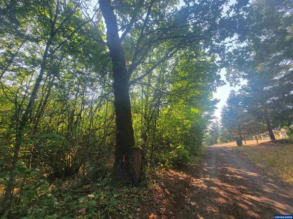 0 Finn Rd, Sheridan, OR 97378