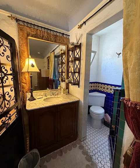 Vantity Area and Corner Toilet View