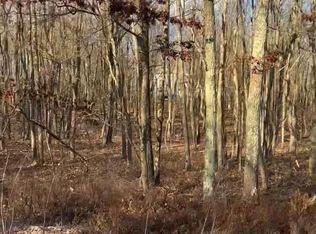 55 Arapahoe Rd #MV2330, Albrightsville, PA 18210