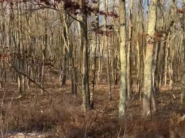 55 Arapahoe Rd #Mv2330, Albrightsville, PA 18210