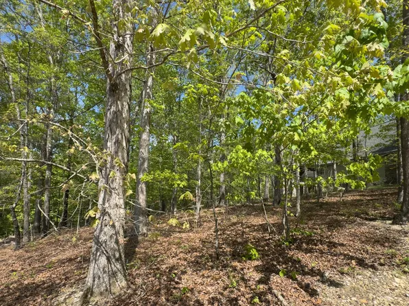 2085 Old Dogwood Trl Lot 9, Loudon, TN 37774