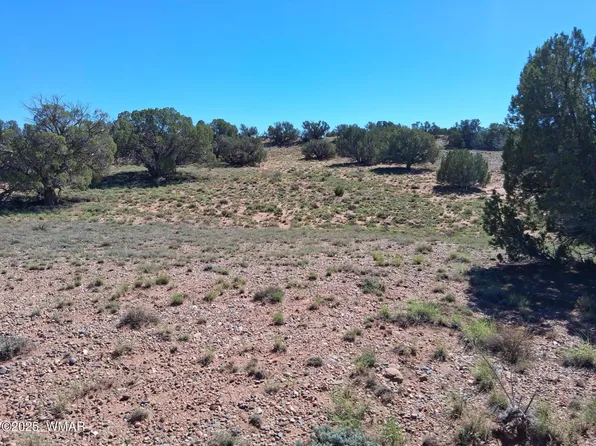 268 N 5383rd, Concho, AZ 85924