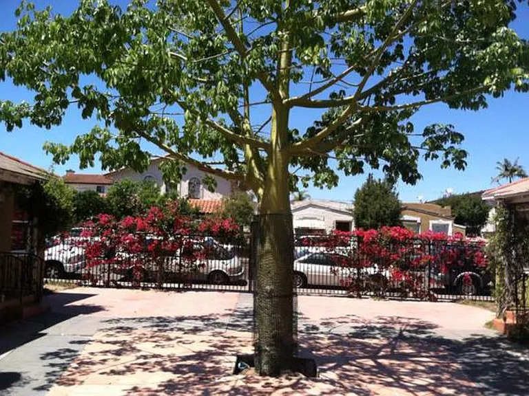 4265 Euclid Ave #4 — Photo 2