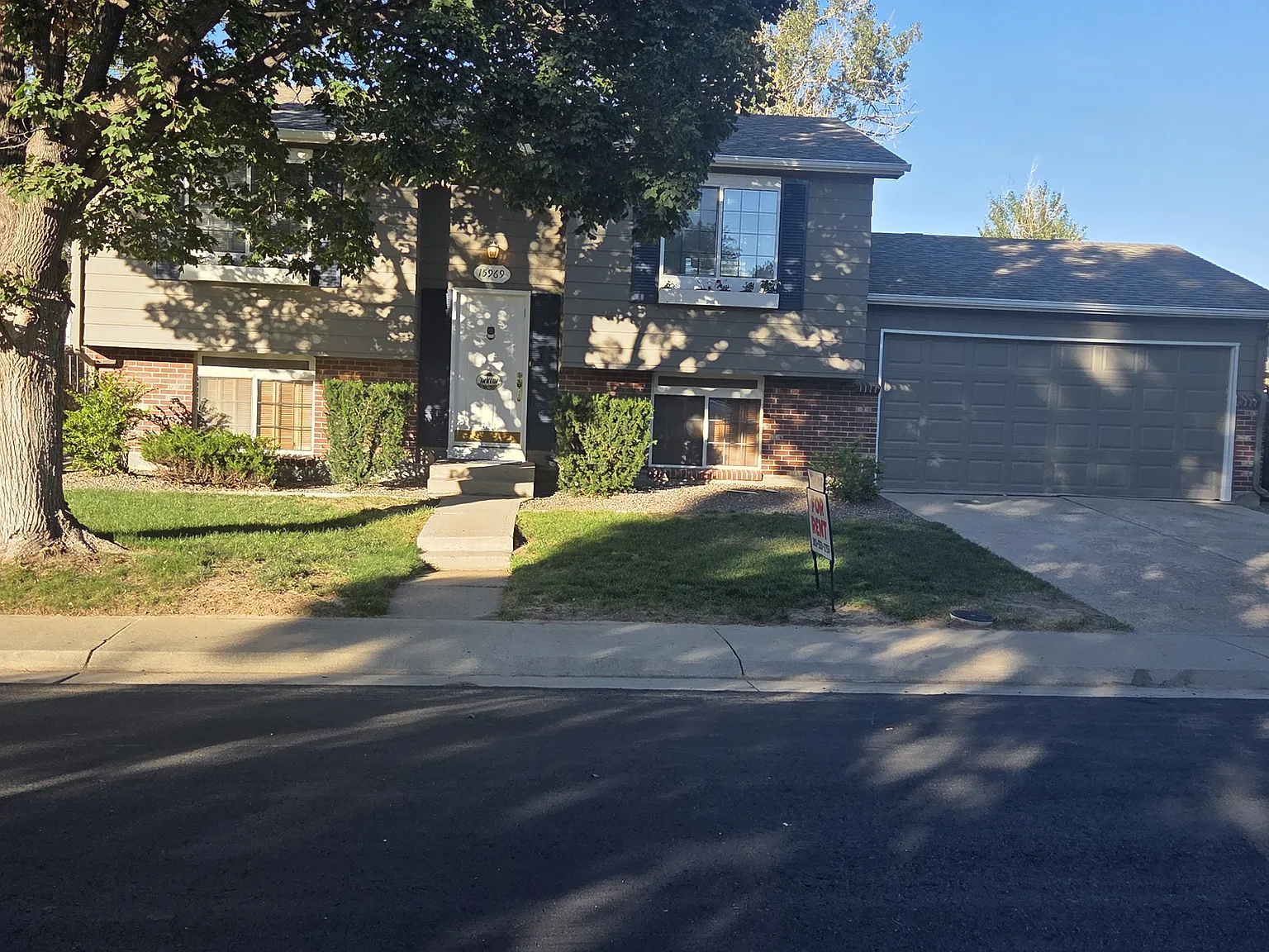 3 bed, 1638 sqft, $2,600 — Photo 4