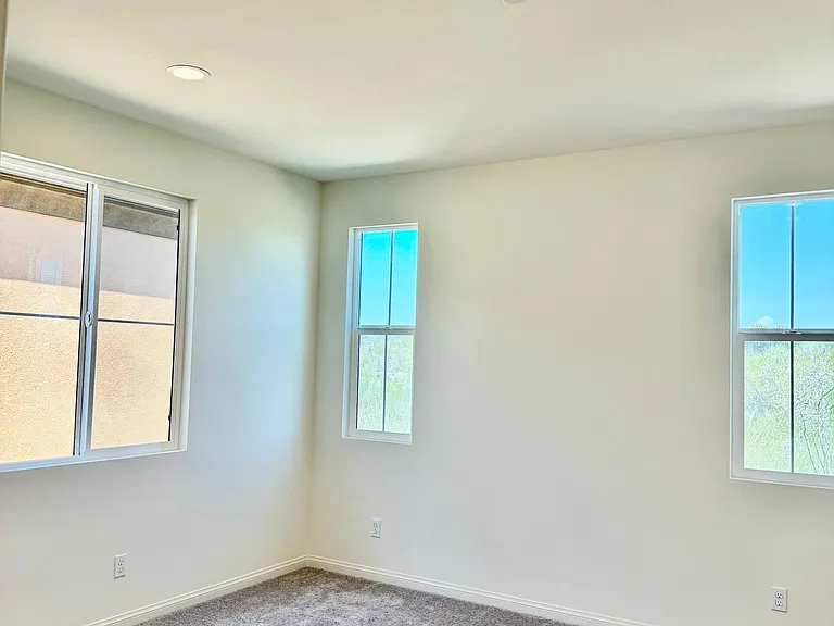 4388 Cadence Way — Photo 19