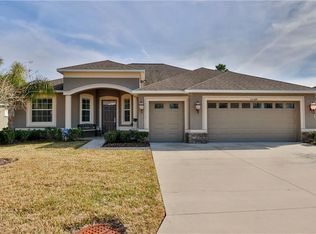 10384 Belmullet Dr, San Antonio, FL 33576