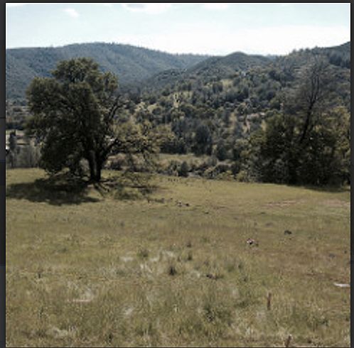 1st image of 16639 Doe Trl