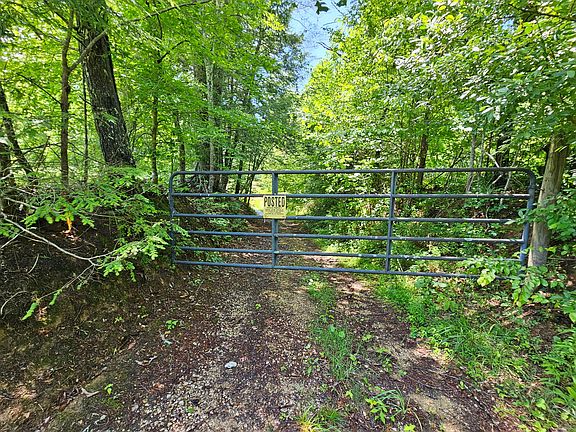2nd image of 117 Bradley Ln