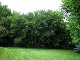 5th image of 13683 Huntley Ct
