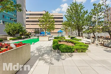 Rented by Mdrn Residential