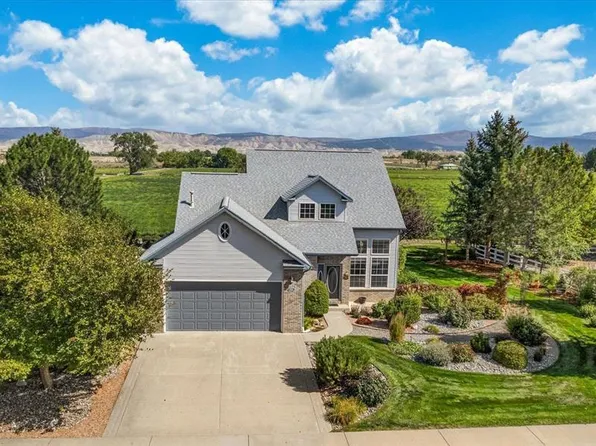 2032 Otter Pond Circle, Montrose, CO 81401