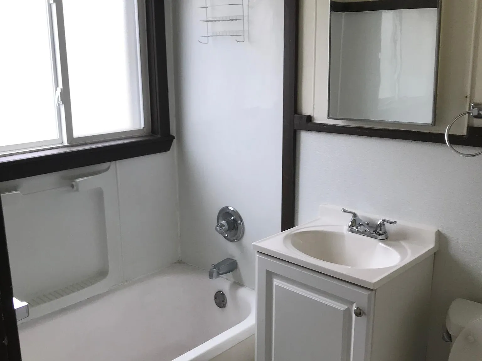31506 Allegan Ct — Photo 3