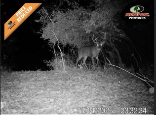 12000 W 223rd, Manitou Beach, MI 49253