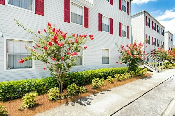 Cypress Landing — Photo 4