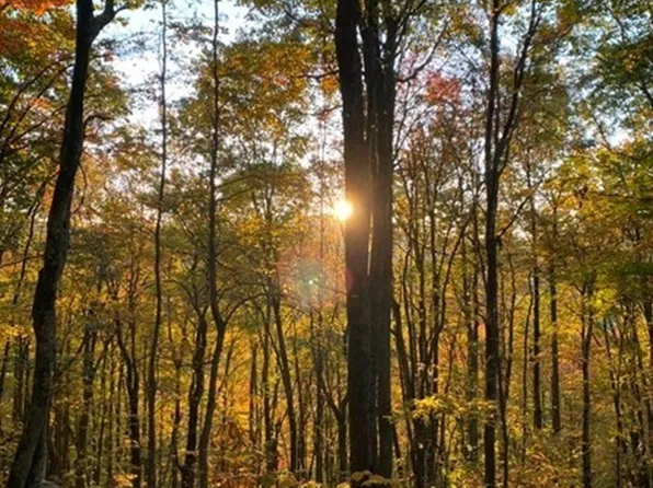 TBD Burnt School House Road, Creston, NC 28615