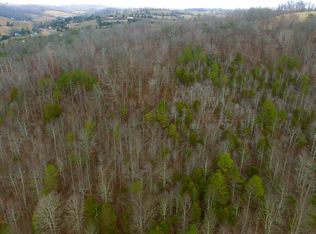 1010 Mountain Rd, New Tazewell, TN 37825