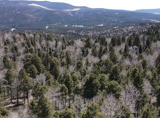 101 Zia Rd, Angel Fire, NM 87710