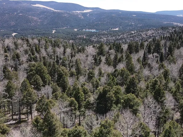 101 Zia Rd, Angel Fire, NM 87710