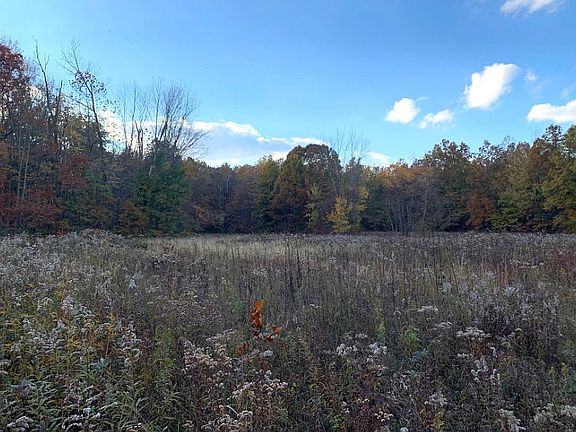 Clearing looking to the back