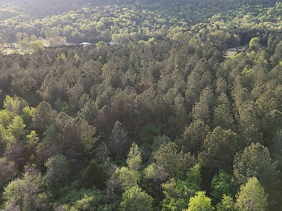 5th image of 8200 Owls Hollow Rd