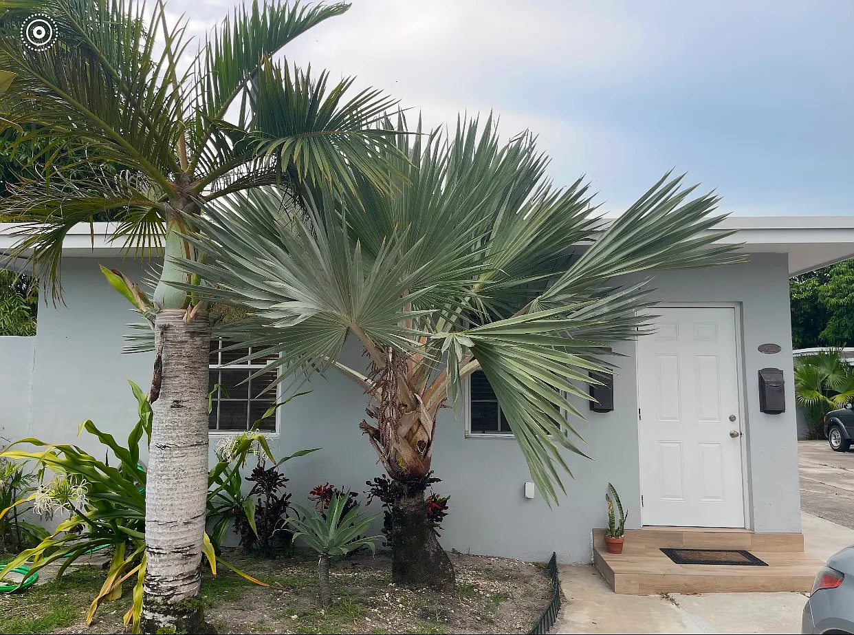 2 bed, $2,450 — Photo 1