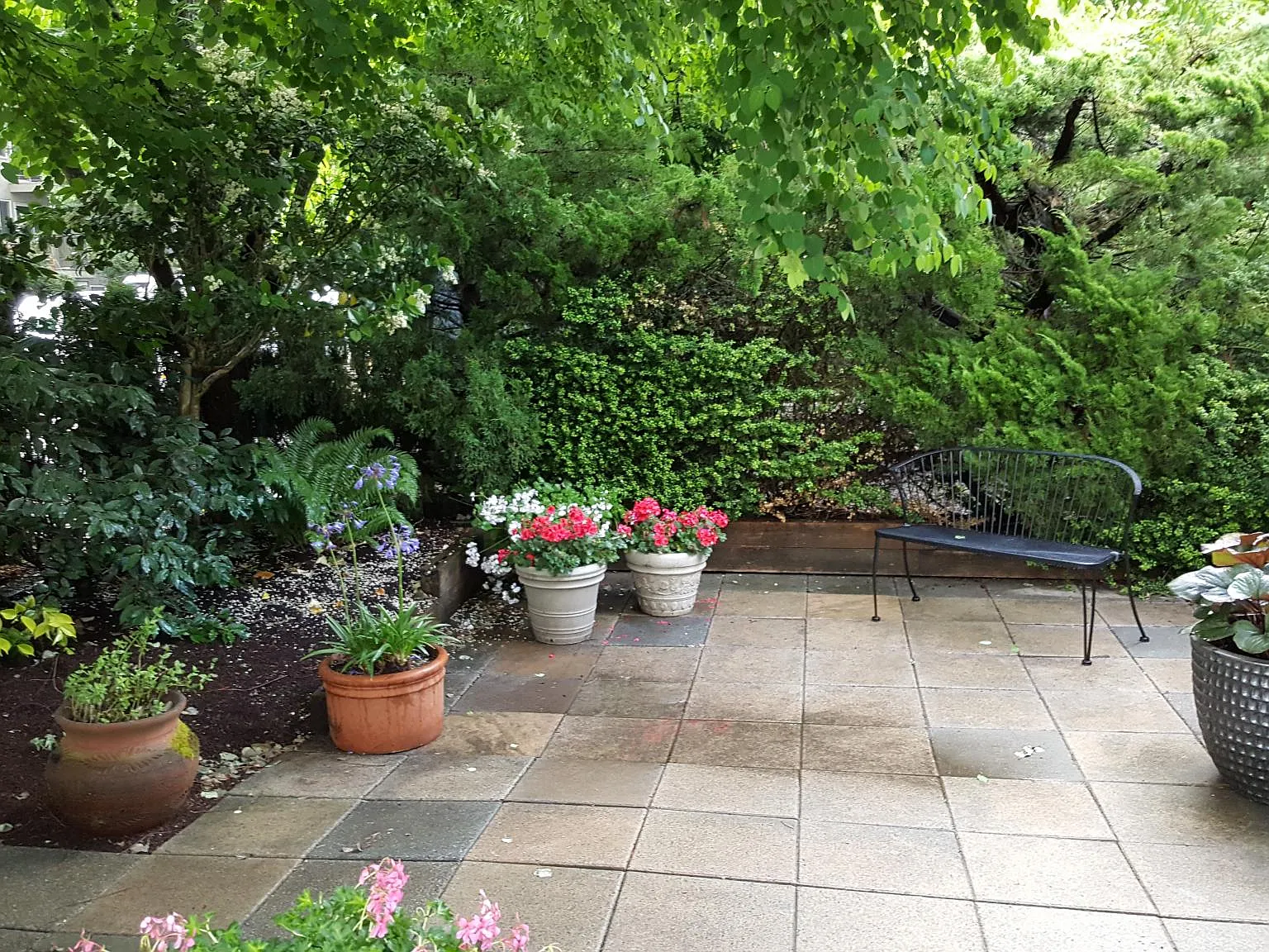 3 bed, 1820 sqft, $3,800 — Photo 2