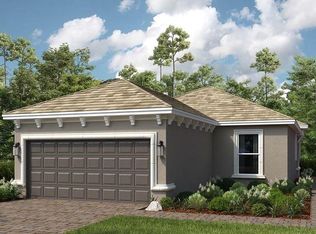 29513 Velletri Ln, Wesley Chapel, FL 33543