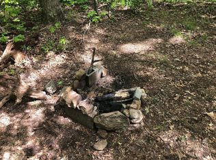 1012 Briley Rd, Spring City, TN 37381