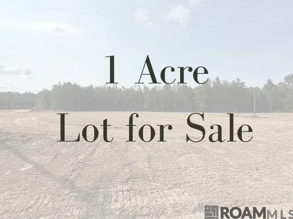 19061 State Highway 444, Livingston, LA 70754