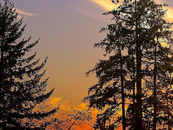 Sunset from Screened Porch