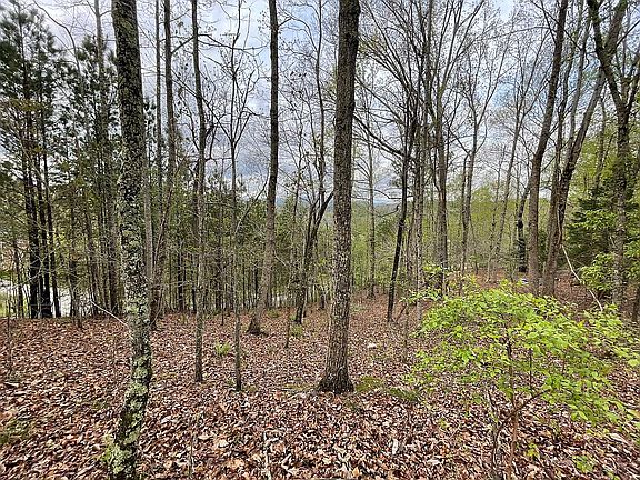4th image of 126 Preserve Pkwy