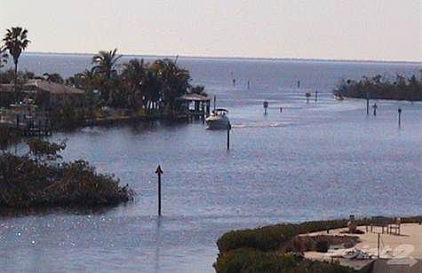 24191 Capt. Kidd Lot