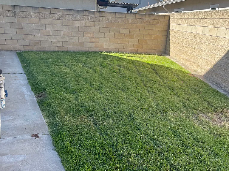 ANOTHER SECTION OF BACKYARD