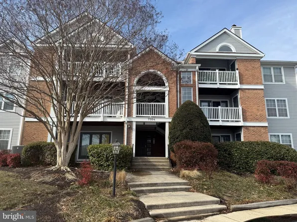 7504 Ashby Ln Unit L, Alexandria, VA 22315