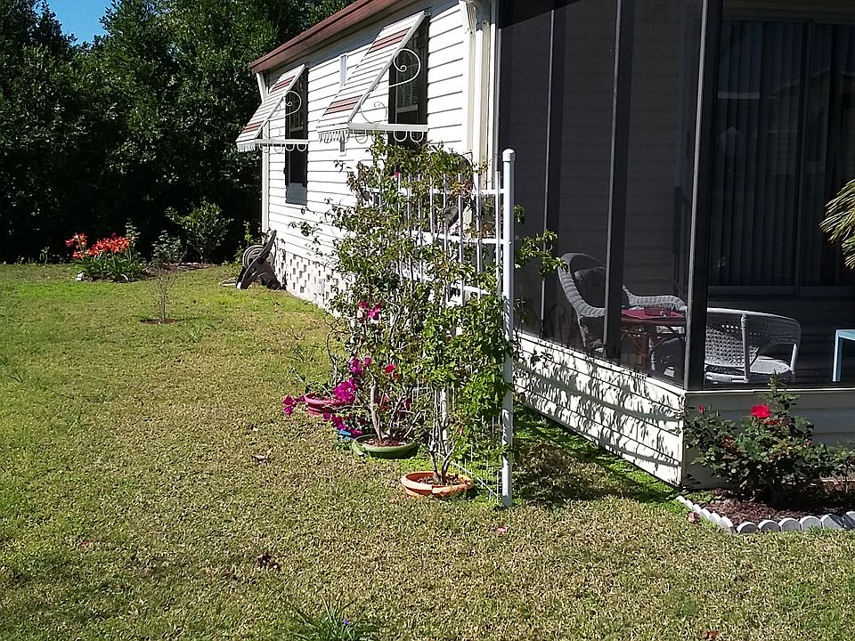 Bougainvillea fills this trellis