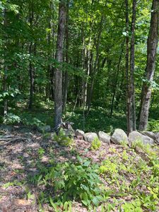 003 Fosterville Road, Bridgton, ME, 04009