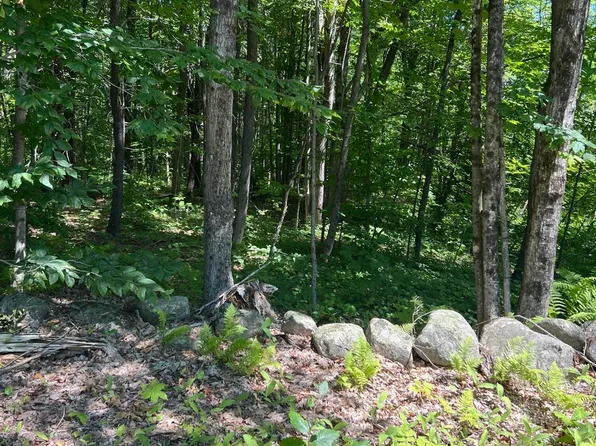 003 Fosterville Road, Bridgton, ME 04009