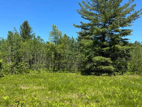 LOT 11 Metzgar Rd NW, Kalkaska, MI 49646