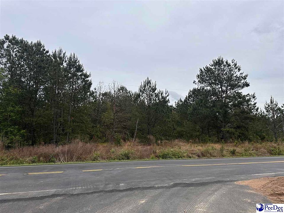 1st image of TRACT 2 Patrick Hwy