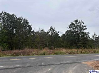 TRACT 2 Patrick Hwy, Hartsville, SC 29550