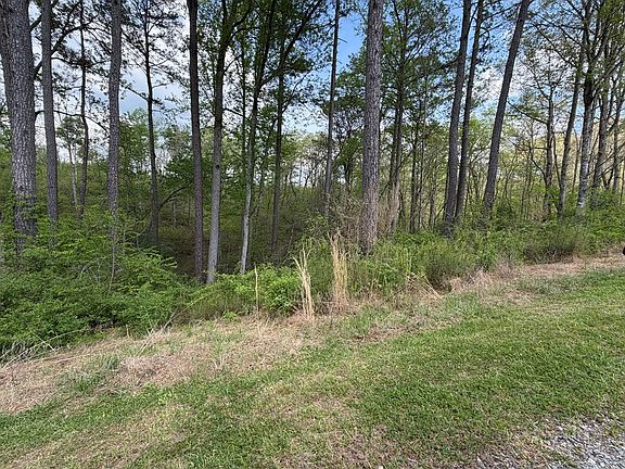 4th image of 238 Lecroy Dr