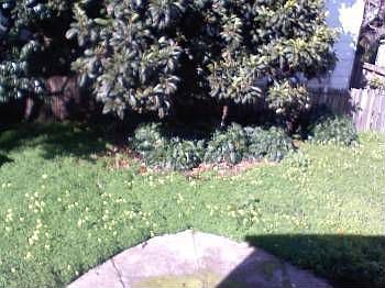 3rd image of 1112 Peninsula Ave